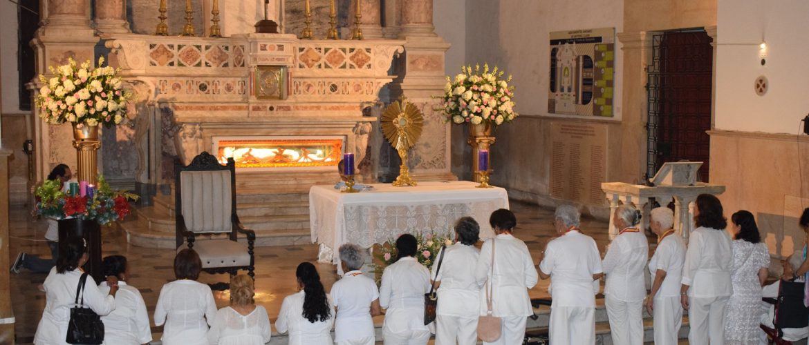 En este momento estás viendo Red Mundial de Oración del Papa, presente en Cartagena